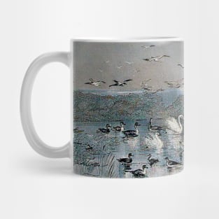 Ducks, Mallards and Swans on the lake at sunset Mug